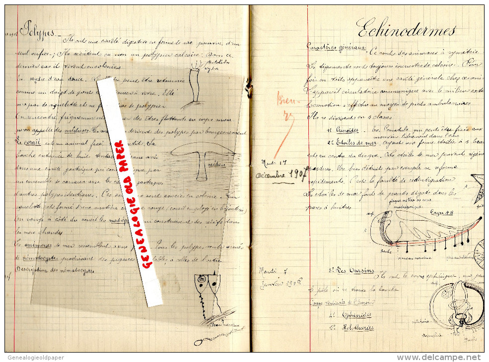 87 - BELLAC - CAHIER ECOLE PRIMAIRE SUPERIEURE ET PROFESSIONNELLE DIRIGEE PAR M. MAUMY- PROFESSEUR BONNAT MOISE-1907 - Andere & Zonder Classificatie