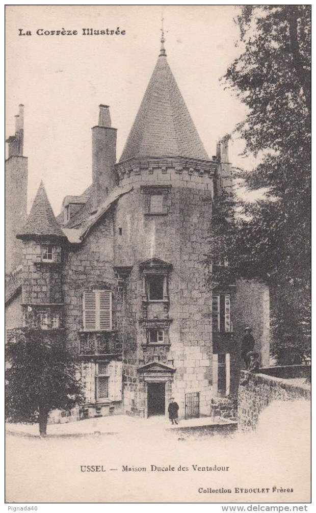 Cp , 19 , USSEL , Maison Ducale Des Ventadour - Ussel