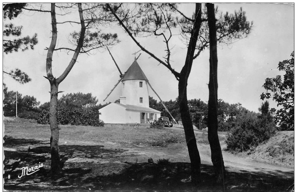 ILE DE NOIRMOUTIER  -  Moulin à Vent Au Sommet De La Colline De La Bosse ( Cachet Hewagonal De L' Epine Au Verso ) - Ile De Noirmoutier