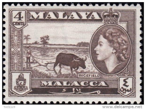 MALAYA Malacca - Scott #58 Queen Elizabeth II / Mint NH Stamp - Malacca