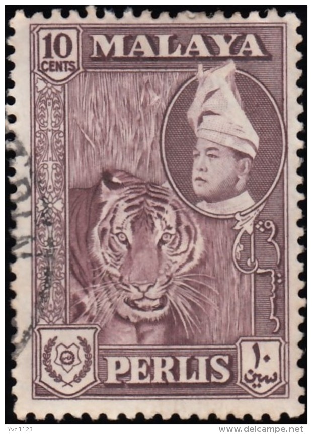 MALAYA Perlis - Scott #34 Raja Syed Putra / Used Stamp - Perlis