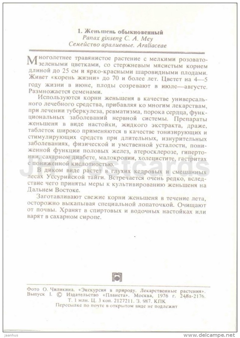 Ginseng - Panax Ginseng - Medicinal Plants - 1976 - Russia USSR - Unused - Geneeskrachtige Planten