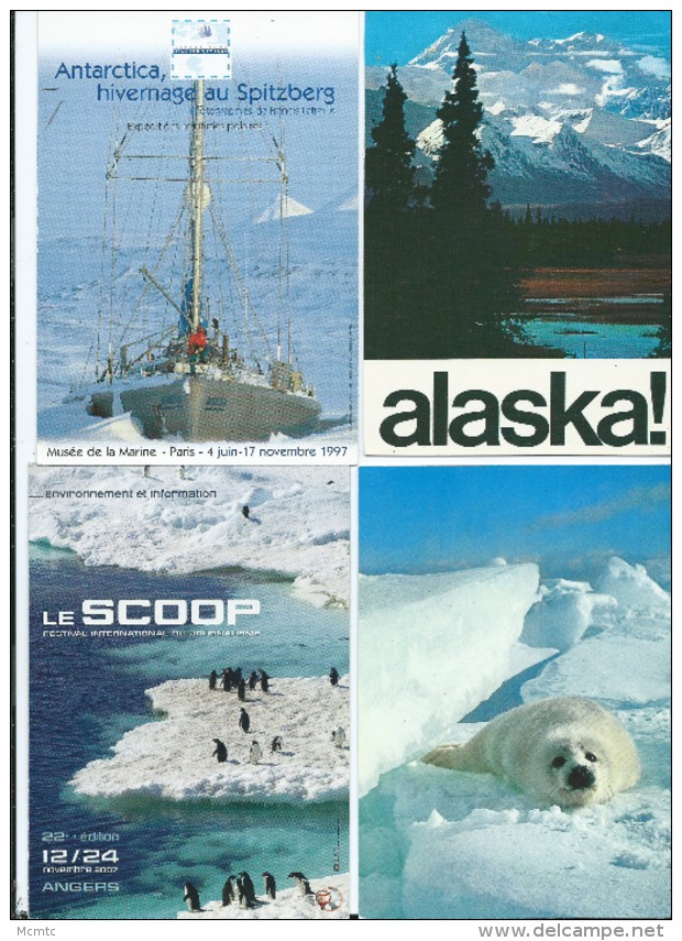 20 Cartes Modernes + 1 Petit Calendrier   -   Antarctica  - Antarctique - Alaska - Other & Unclassified