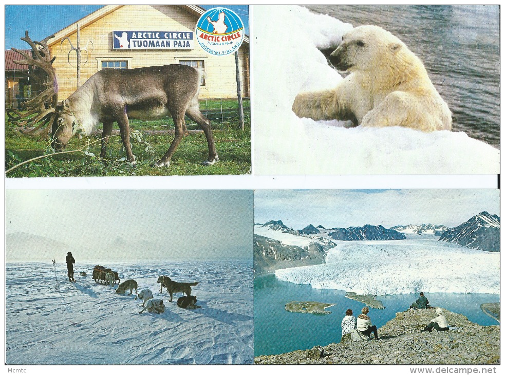 20 Cartes Modernes + 1 Petit Calendrier   -   Antarctica  - Antarctique - Alaska - Autres & Non Classés