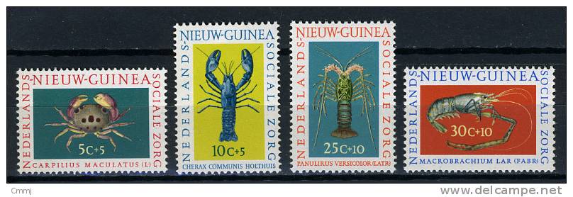 1962 - NETHERLANDS NEW GUINEA -  Nr.  78/81 - NH - (F28022013...) - Nuova Guinea Olandese