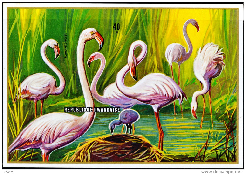 AQUATIC BIRDS-GREATER FLAMINGOS-IMPERF MS-RWANDA-MNH-MS-EXTREMELY SCARCE-D3-02 - Flamants