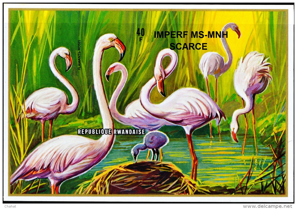 AQUATIC BIRDS-GREATER FLAMINGOS-IMPERF MS-RWANDA-MNH-MS-EXTREMELY SCARCE-D3-02 - Flamants