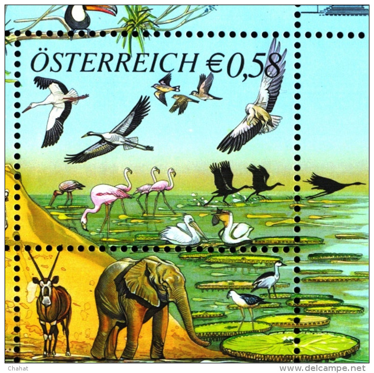 BIRDS-GREATER FLAMINGOS & ZOOLOGICAL GARDEN-IMPERF COLOR PROOF WITH MS-AUSTRIA-2002-RARE-MNH-D3-03