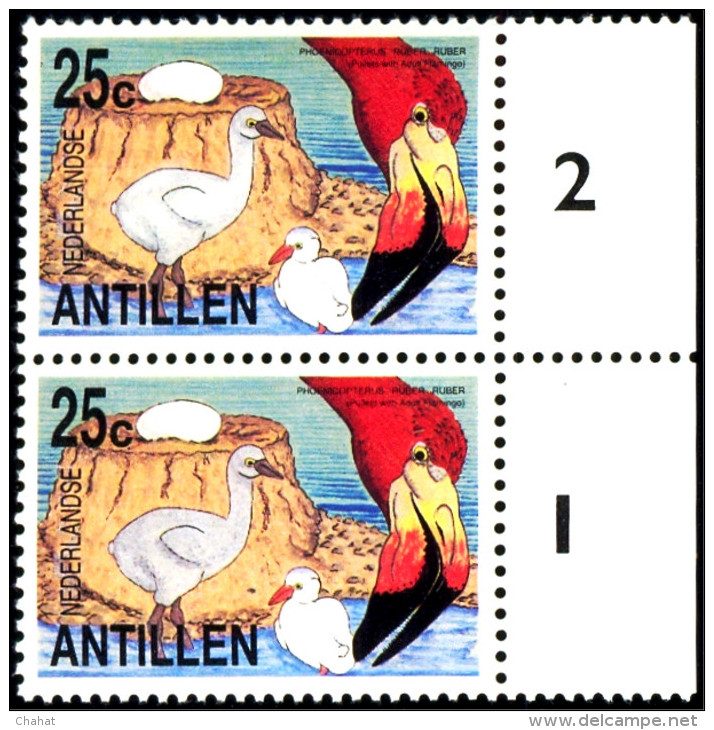 AQUATIC BIRDS- AMERICAN FLAMINGOS-ADULT WITH PULLETS-MARGINAL PAIR  WITH FAULTS-NEDERLANDS ANTILLES-1985-MNH-D3-08 - Flamingo