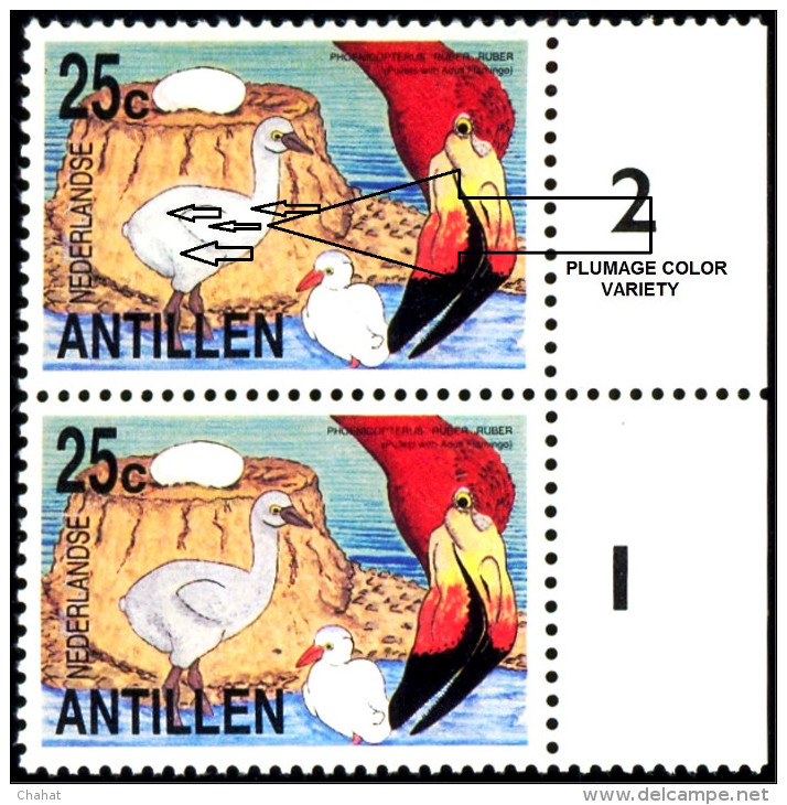 AQUATIC BIRDS- AMERICAN FLAMINGOS-ADULT WITH PULLETS-MARGINAL PAIR  WITH FAULTS-NEDERLANDS ANTILLES-1985-MNH-D3-08 - Flamingo