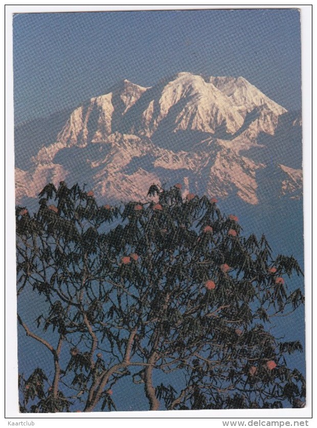 Nepal: Mt. ANNAPURNA II And Rhododendrons From Barapokhari, A Sacred Lake (with  R.1.75 Nepal Stamp/timbre) - Nepal