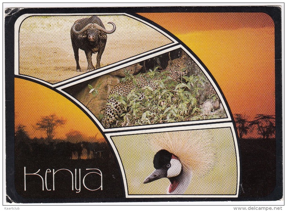 Kenya: Popular Kenya Scenes  -   ( 3 Stamps/timbres) - Kenia