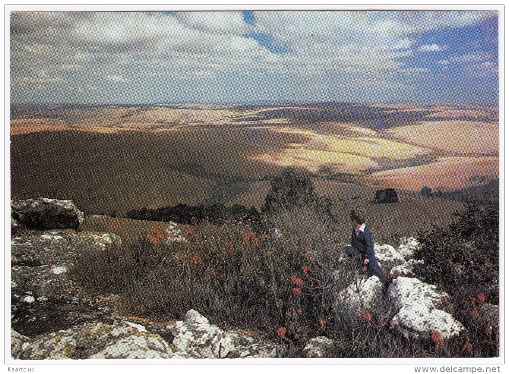 Malawi: Nyika Plateau (Sartoc) - Malawi