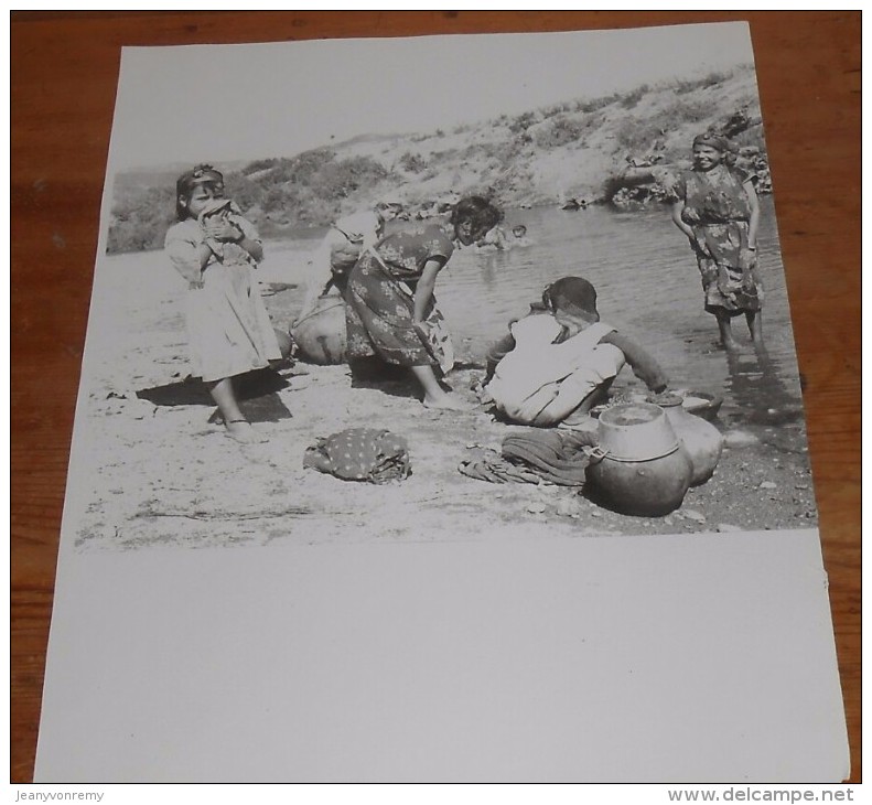 Photographie. Algérie. Constantine. Groupe D´enfants Dans La Rivière. 1960. - Afrique