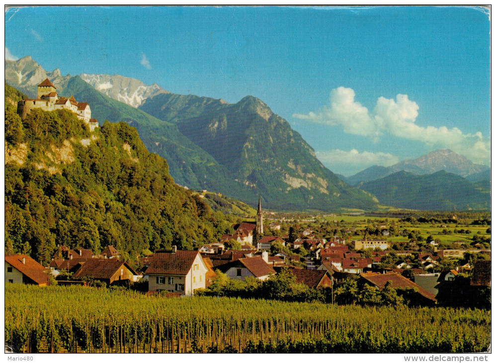 VADUZ   FURSTENTUM LIECHTENSTEIN     (VIAGGIATA) - Liechtenstein