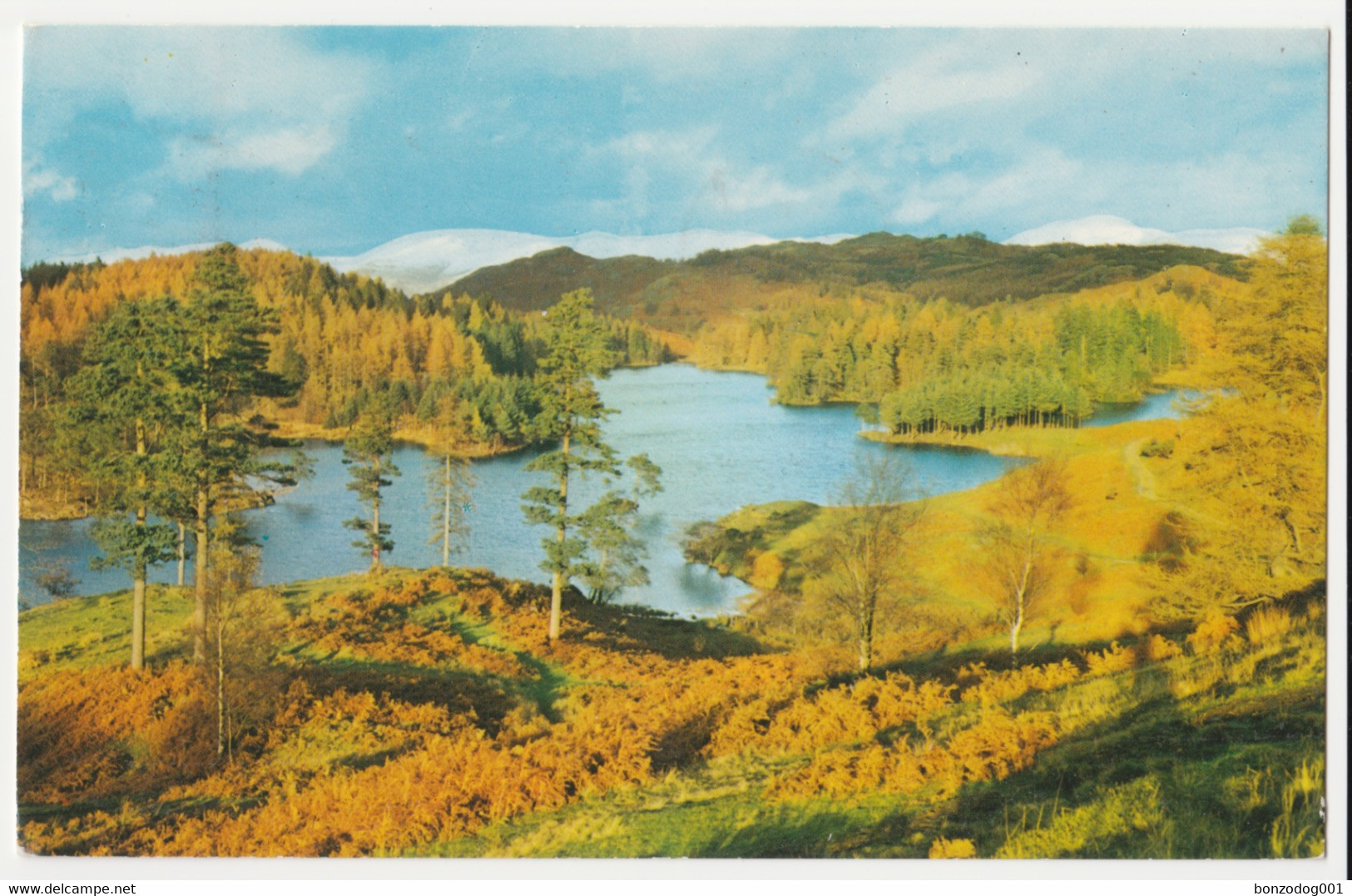 Tarn Hows, Near Hawkshead, Lake District. - Hawkshead