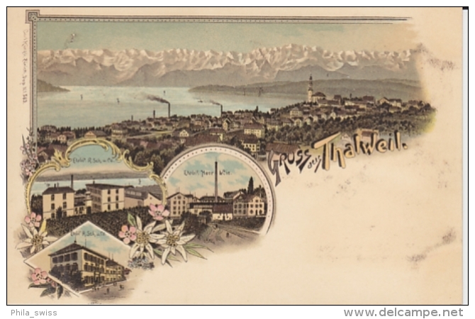 Thalweil (Thalwil) - Farbige Litho - Heer U. Co. - Thalwil