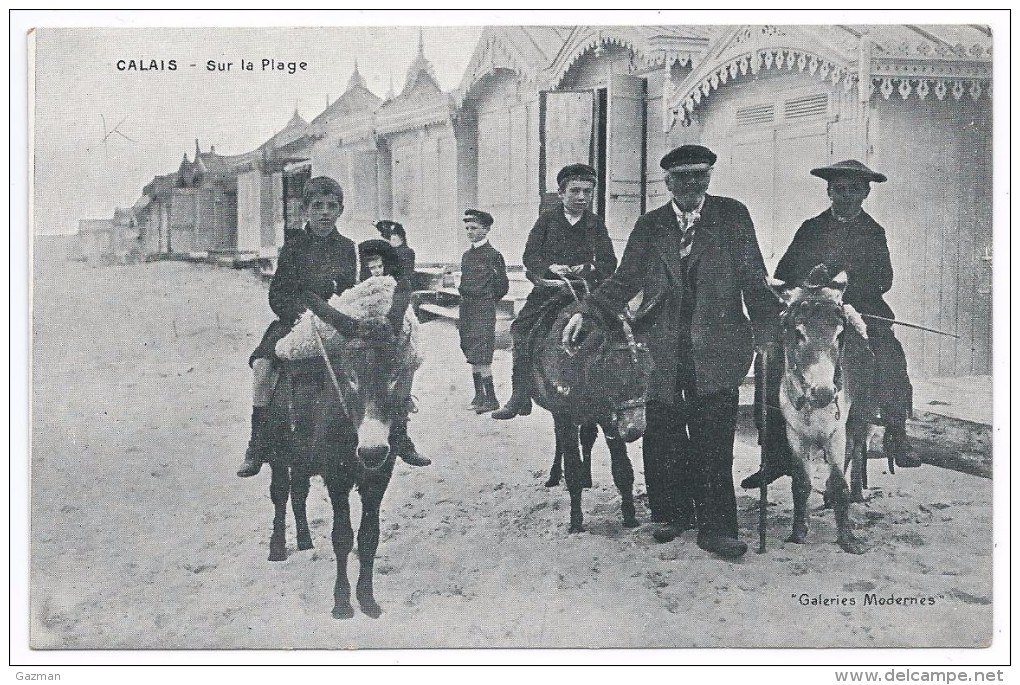 CALAIS   -  Galeries Modernes   -Sur La Plage, Promenade En ânes - Calais