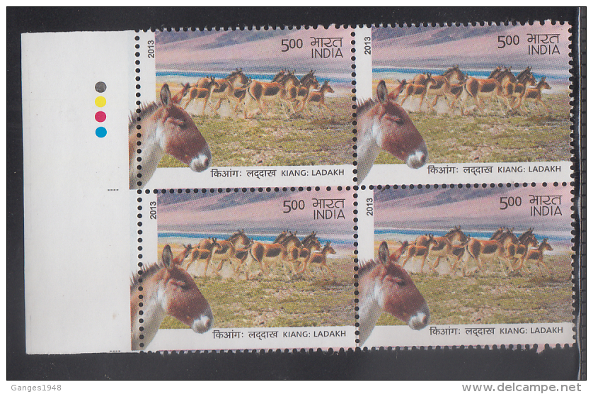 India   2013  Donkey's  Wild Asses  MNH  Block Of 4  #  90142 S  Inde Indien - Anes