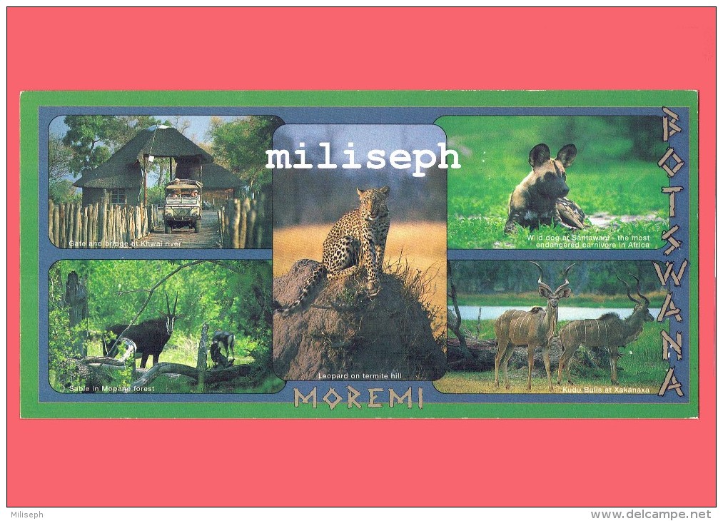 BOTSWANA - Moremi - Multivues Animaux -    (4216) - Botsuana