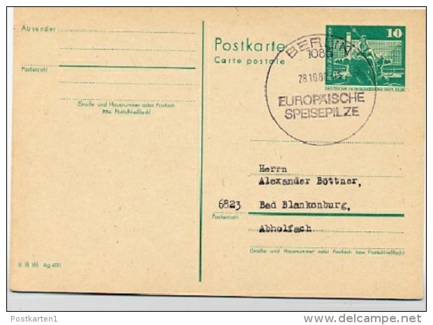 SPEISEPILZE Berlin 1980 Auf  DDR  Postkarte P 79 - Sonstige & Ohne Zuordnung