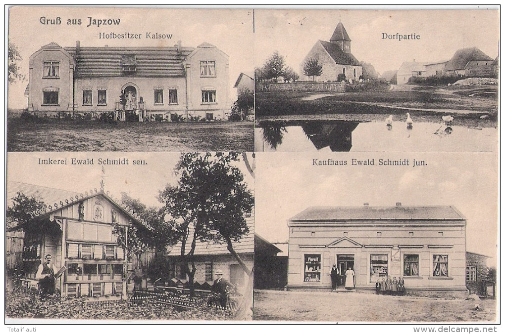 JAPZOW Vor Pommern Wolde Kr Demmin Hofbesitzer Kalsow Imkerei Ewald Schmidt Sen Kaufhaus Schmdt Jun 13.7.1916 - Demmin