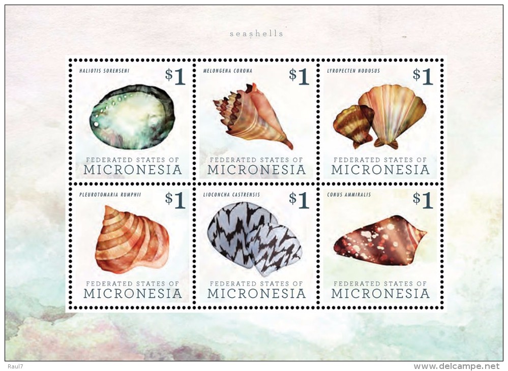 Micronesia 2013 - Faune Marine, Coquillages - BF 6 Val Neufs // Mnh - Micronésie