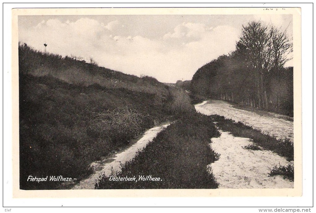 OOSTERBEEK, Gelderland , Nederland : Fietspad Wolfheze; Années 40 / 50 , TB - Oosterbeek