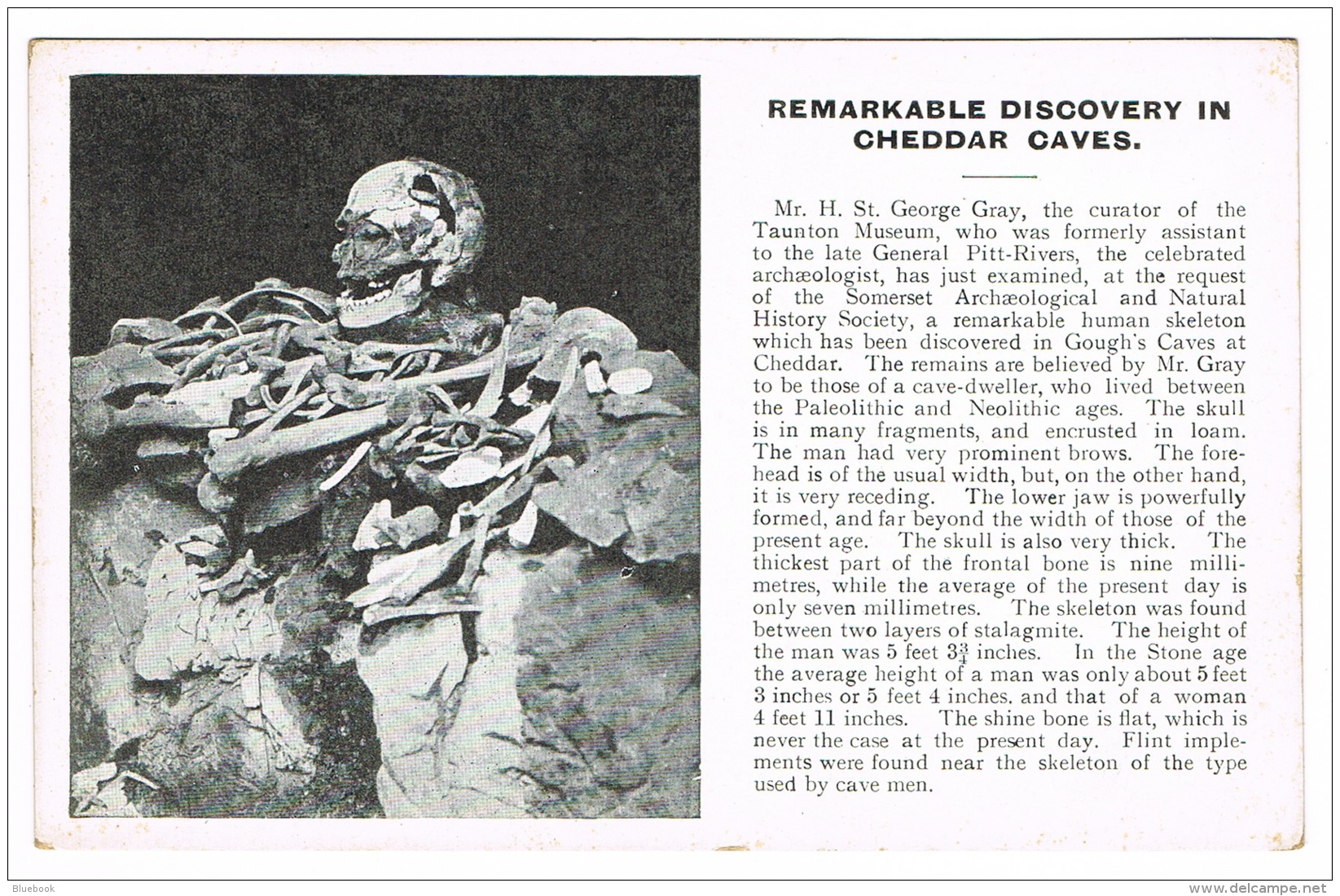 RB 1088 -  Early Postcard - Skeleton Remains &amp; Scipt - Cheddar Caves Somerset - Cheddar