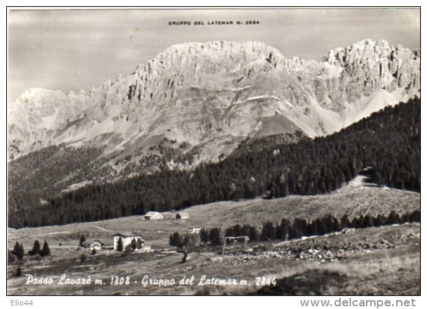 TRENTO - Passo Lavazè M.1808 - Gruppo Del Latemar - - Trento