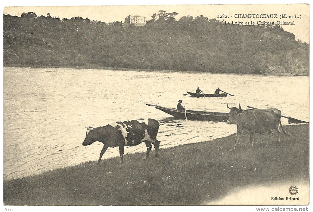 49  CHAMPTOCEAUX    LA  LOIRE  ET  LE  CHATEAU  ORIENTAL - Champtoceaux