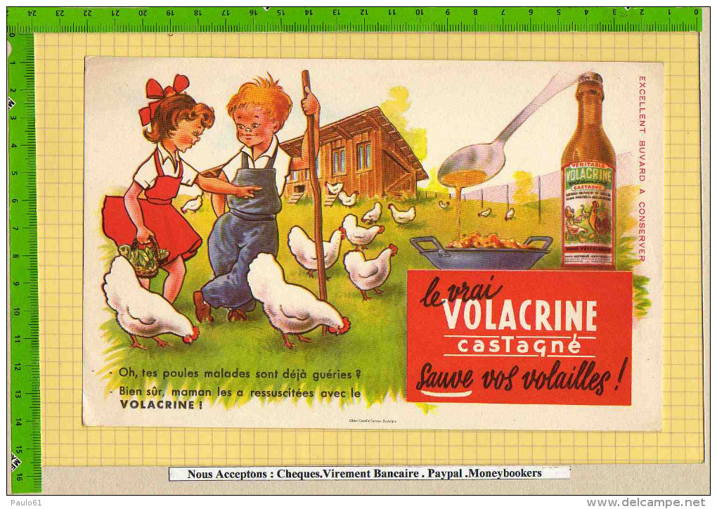 Buvard & Blotting Paper :   Volacrine Sauve Vos Volailles  Enfants Poulets - Animali