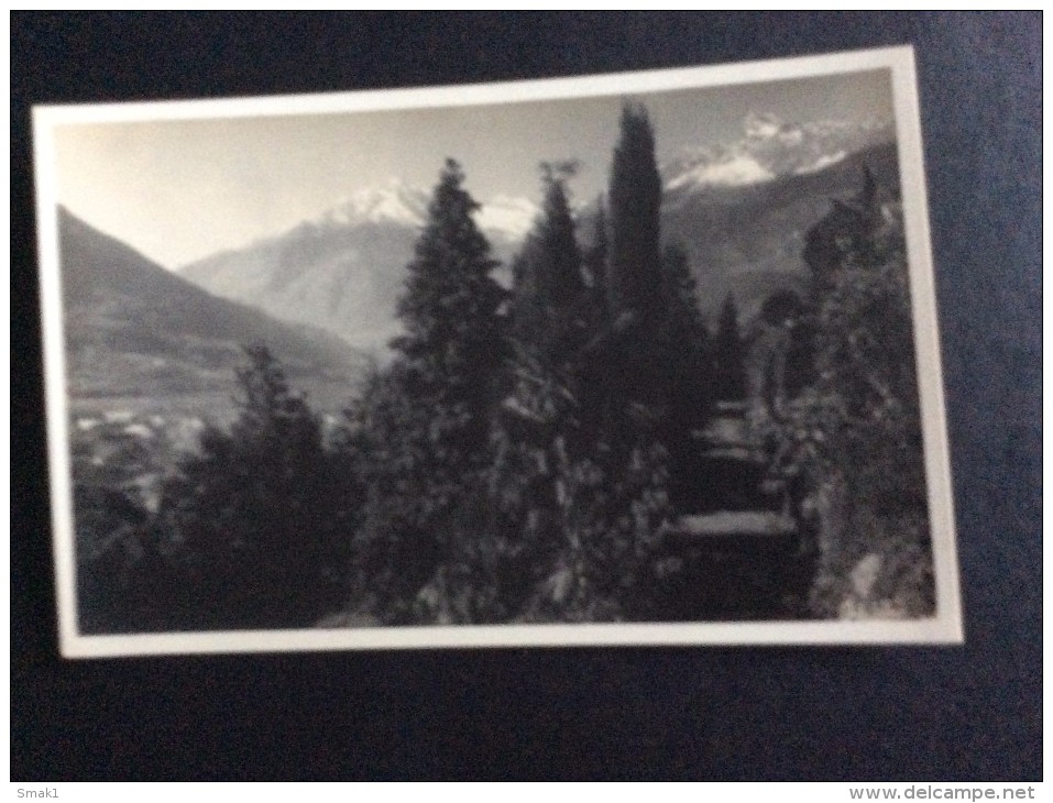 AK Italia Trentino-Alto A.MERANO MERAN PASSEGGIATA TAPPEINER FOTOGRAFIA LEO BAEHRENDT -1929.No.5093..CARTOLINA - Merano