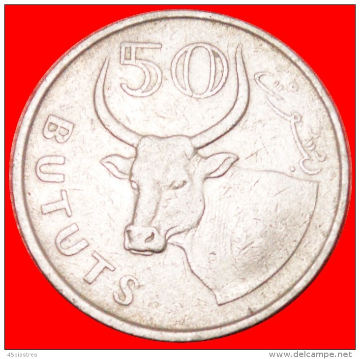 § BULL: THE GAMBIA &#9733; 50 BUTUTS 1998! LOW START &#9733; NO RESERVE! - Gambie