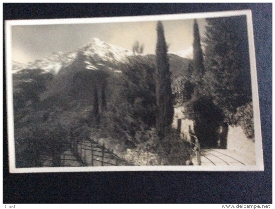 AK Italia Trentino-Alto A.MERANO MERAN PASSEGGIATA TAPPEINER FOTOGRAFIA LEO BAEHRENDT -1929.No.5091..CARTOLINA - Merano