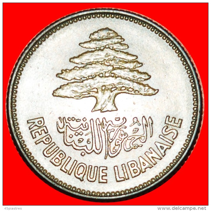 * FRANCE: LEBANON  25 PIASTERS 1952 CEDAR! LOW START  NO RESERVE! - Lebanon