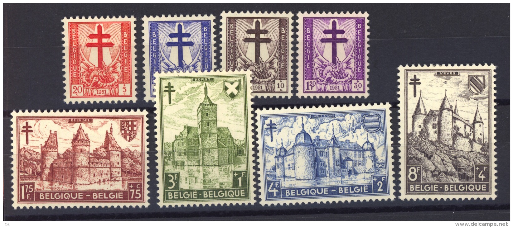 04917 -   Belgique  :   Yv  868-75  * - Nuevos