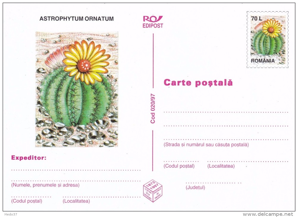 Cactus - Enveloppe - Cactus