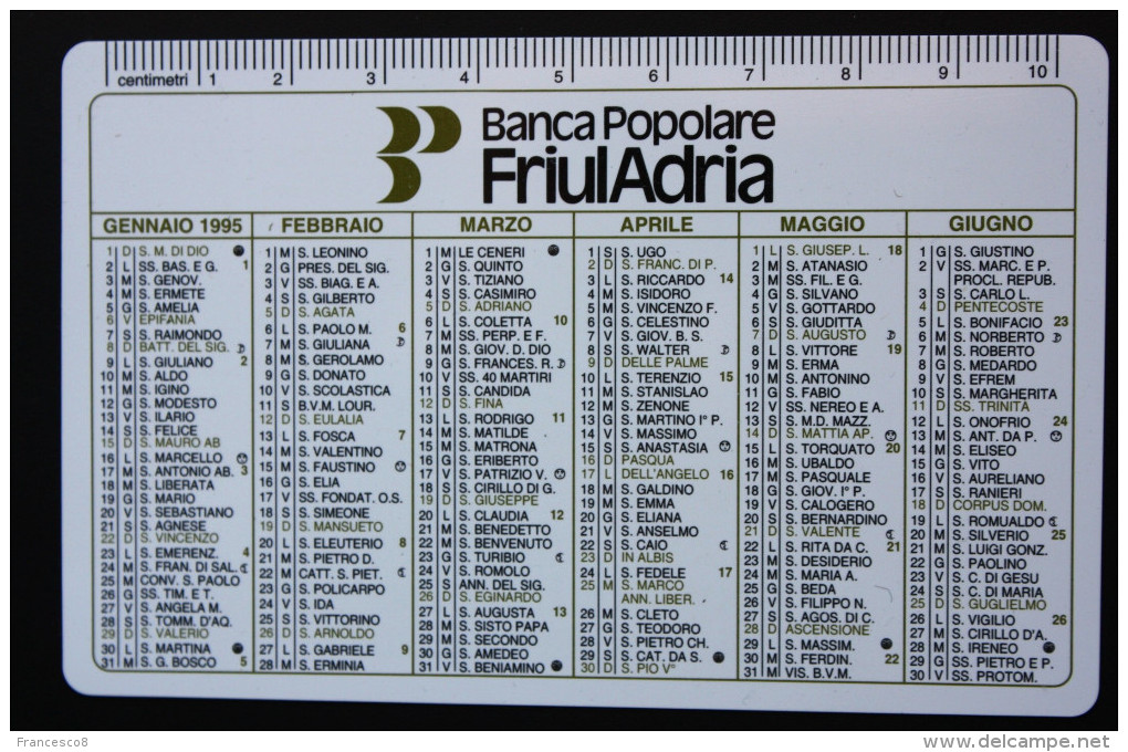 1995 BANCA POPOLARE FRIULADRIA / BANK / Calendario - Formato Piccolo : 1991-00