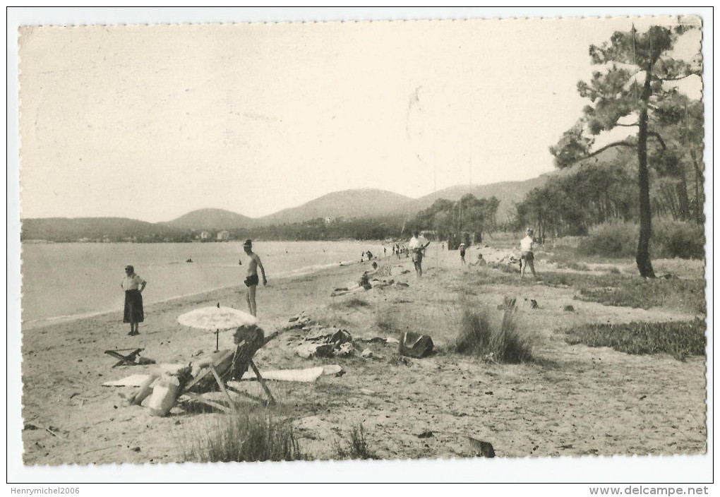 Var - 83 - Cavalaire Sur Mer Plage De Pardigan 1954 - Cavalaire-sur-Mer