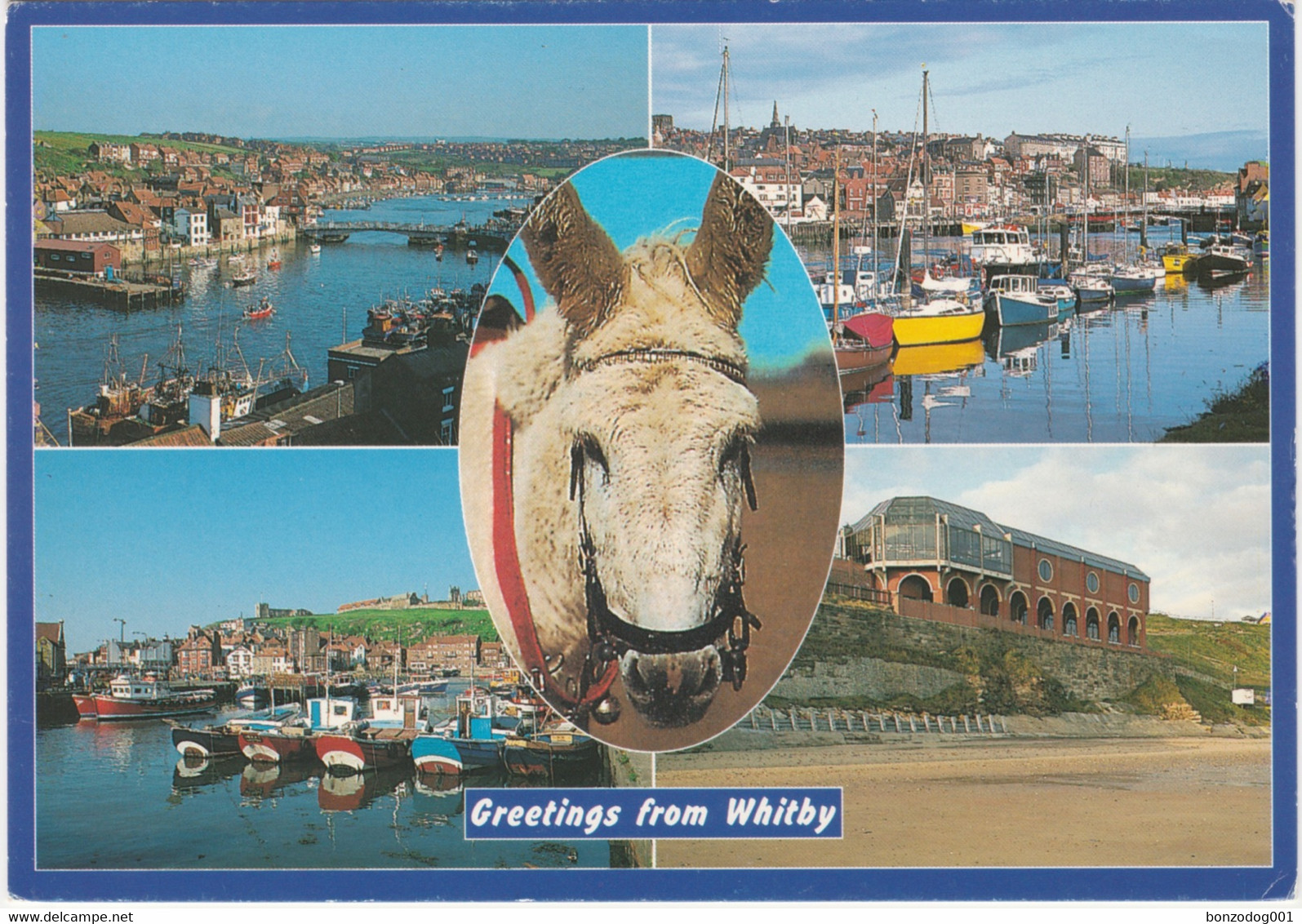 Whitby, Yorkshire Multiview. Pavilion, Harbour, Abbey. Unposted - Whitby