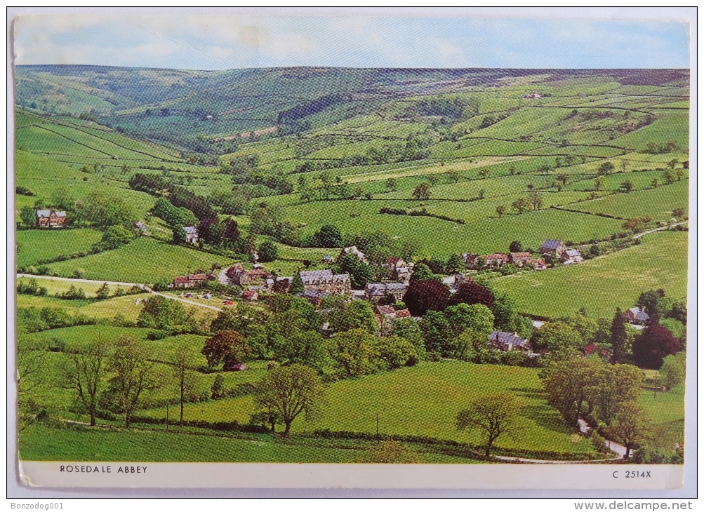 ROSEDALE ABBEY YORKSHIRE. POSTED 1975 - Other & Unclassified
