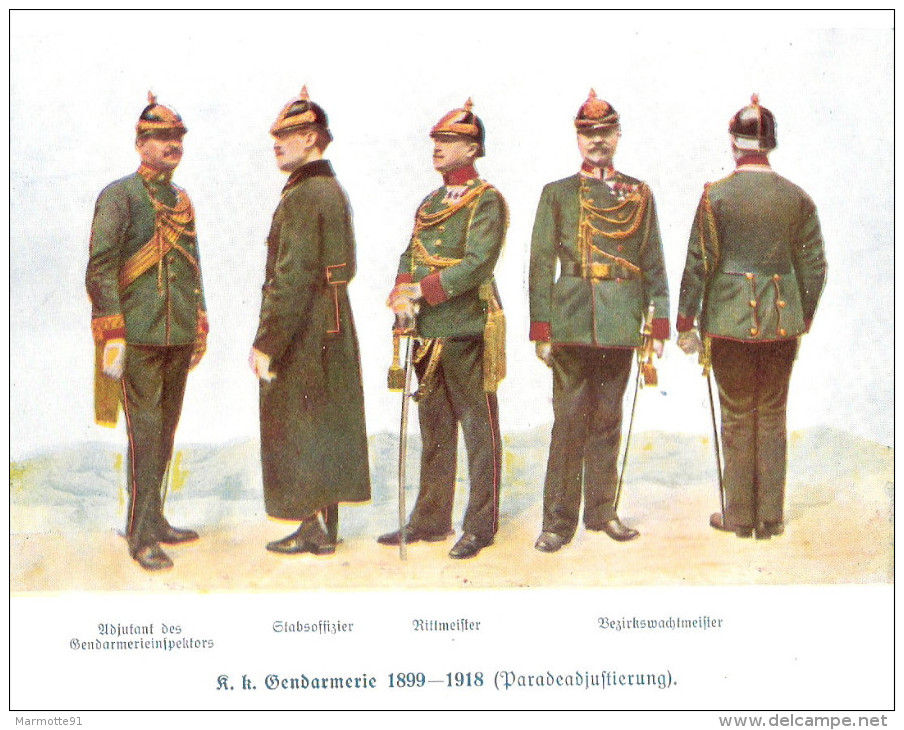 HISTORIQUE GENDARMERIE AUTRICHIENNE AUTRICHE GENDARME 1849 1924 OSTERREICH - Allemand