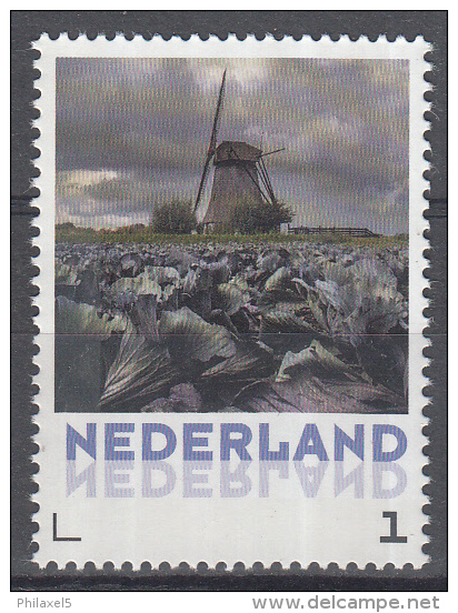 Nederland - Molens - Uitgifte 18 Mei 2015 - Oude Doornse Molen - Almkerk - MNH - Windmills