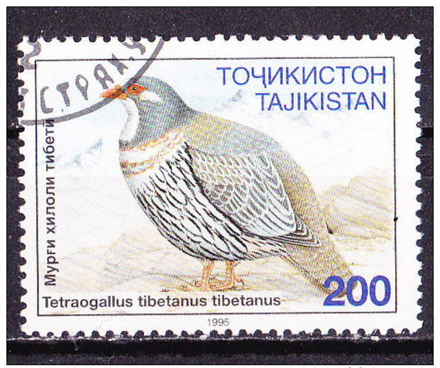 Tagikistan 1995-Palombella -Usato - Tajikistan