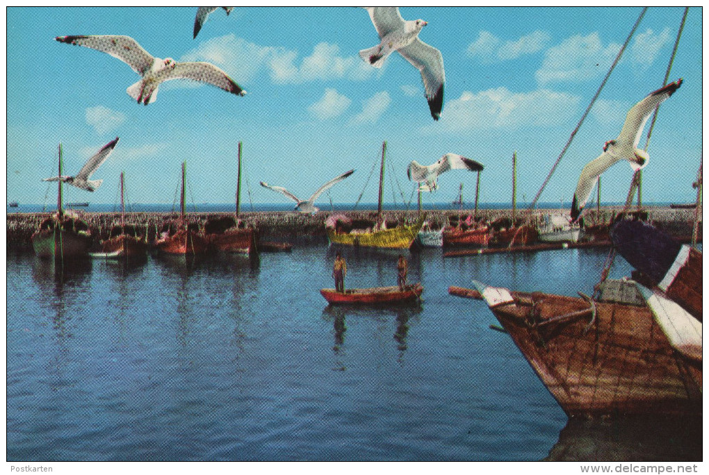 ÄLTERE POSTKARTE HARBOUR OF PEARL FISHERS' FLEET KUWAIT KUWEIT Hafen Port Postcard Ansichtskarte AK Cpa - Koweït