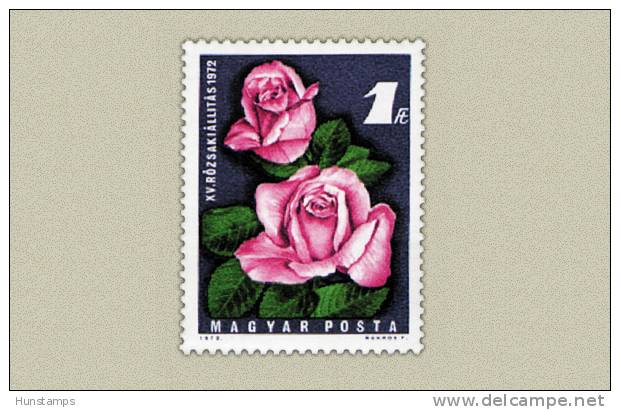 Hungary 1972. Flowers / Roses Stamp.MNH (**) Michel: 2768 / 0.70 EUR - Ungebraucht