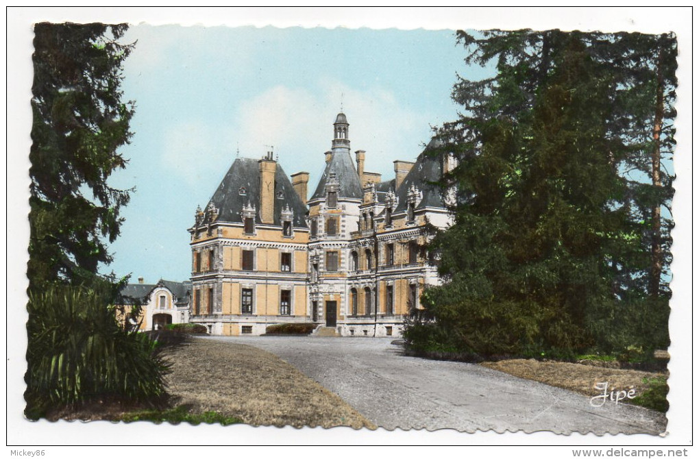 VIBRAYE--Chateau De Vibraye ,cpsm 14 X 9  N° 2323  éd Photo Georget-Dolbeau - Vibraye