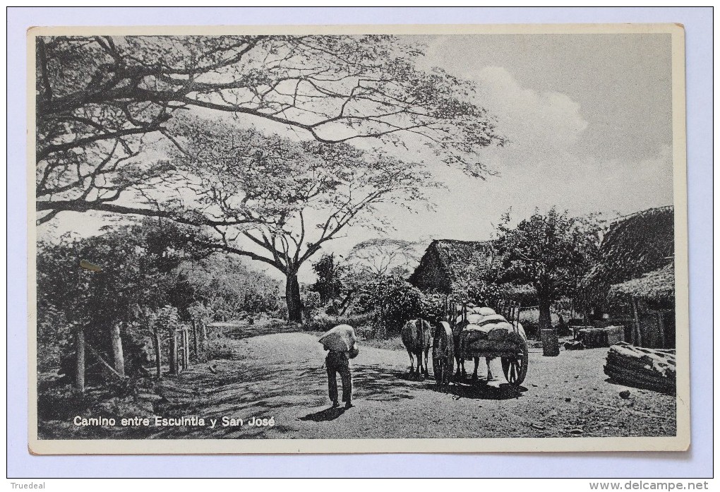 Camino Entre Escuintla Y San Jose, Guatemala, Real Photo Postcard RPPC - Guatemala