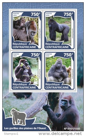 Central African Republic. 2016 Gorillas. (002a) - Gorilla's